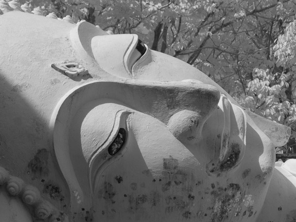 Thailand_OctNovDec_2010_Ayutthaya_Infrared_2658 - Copy.jpg